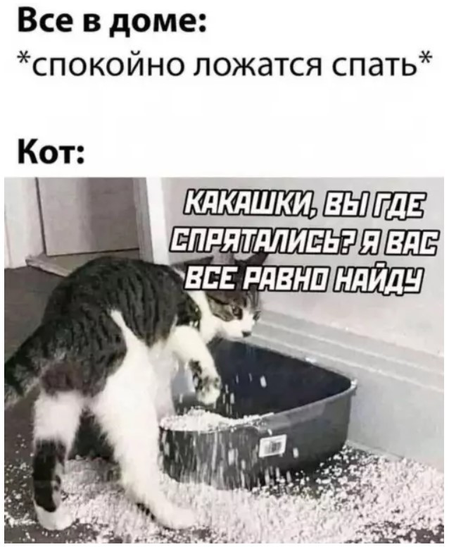 Выходные в мемах и картинках: поднимите себе настроение отборным юмором! картинки, сборник, настроение, самые, которые, Устали, личный, выходныеЭтот, подарить, хотим, моменты, такие, Именно, голос, хохотать, заставляет, ленту, очередной, источник, листаете