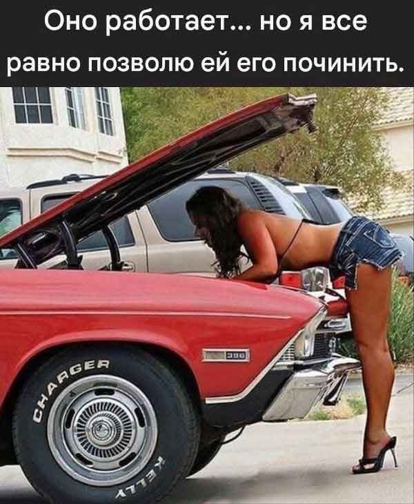 картинка ec895bf039 21001057