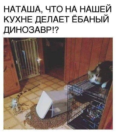картинка ed5eeb0bdf 21050589