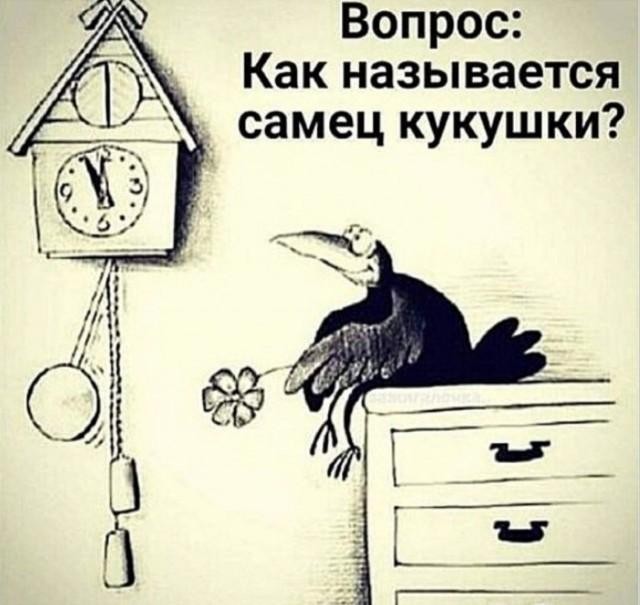 картинка ed6a034d5d 21001358