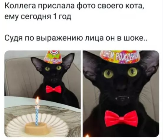 картинка ed9b968c19 21018826