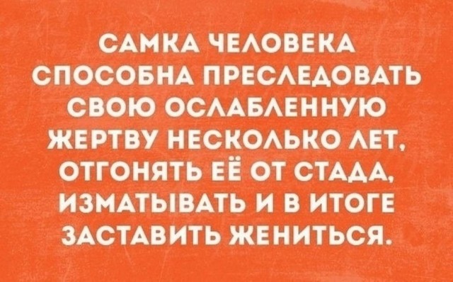 картинка ef83b4c341 21045547