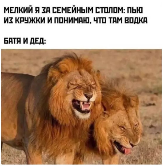 картинка f16b83da07 21018829