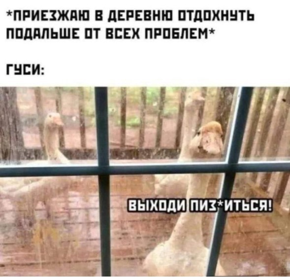 Забудьте о скуке! Новый сборник отборных мемов и картинок с надписями уже здесь, чтобы поднять вам настроение до небес! просто, которые, позитива, сборник, Устали, улучшает, получить, способ, идеальный, жизнь, делает, самочувствие, снимает, стресс, время, лекарство, лучшее, посмотретьПотому, стоит, Почему