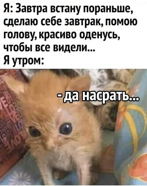картинка f7fc41337d 000
