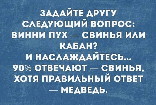картинка f831436f76 21019016