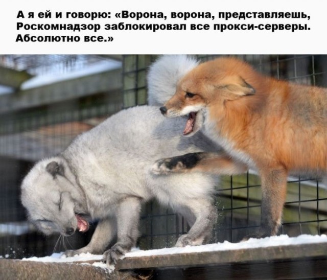картинка f8f80c5f5f 21001348