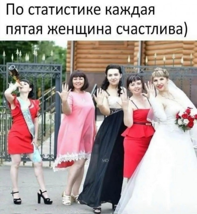 картинка fc8a2e31a3 21046246