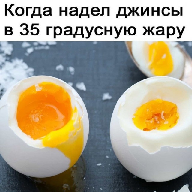 картинка fcc0040d66 21001395