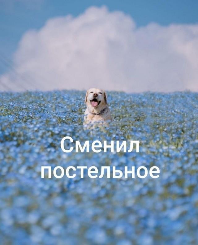 картинка fe2494487a 21013823