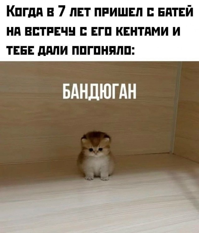 картинка fe36f79ce9 21032625