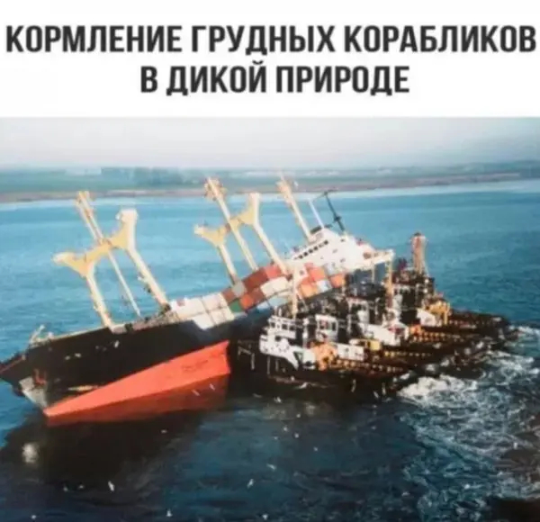 картинка fea4ef2af5 00000000000000000