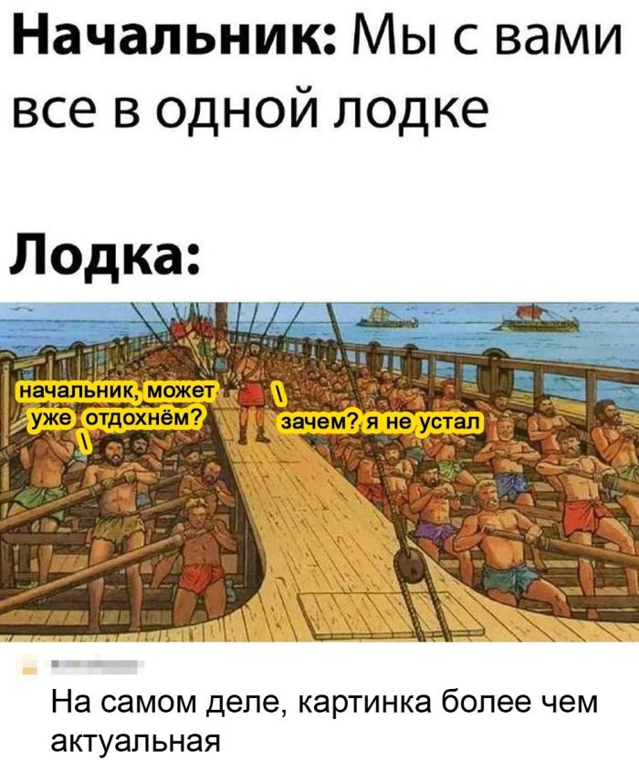 картинка 004040afe5 lovite porciju pozitiva svezhij sbornik shutok memov i prikolov iz socsetej 00
