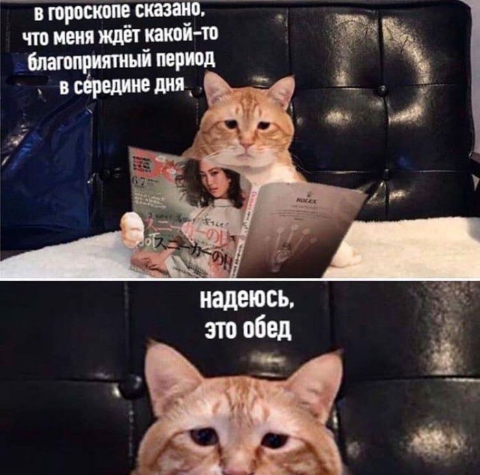картинка 0a6586dfb0 0000000000000000