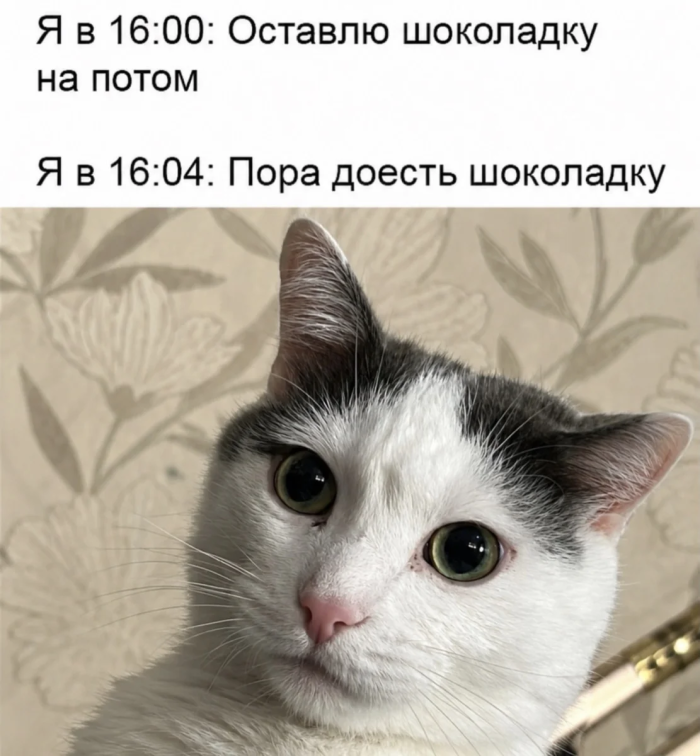 картинка 15223326a9 000000000