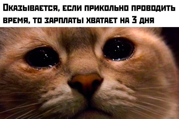картинка 2567e2c550 svezhaja porcija smeha iz seti memy i kommentarii kotorye tochno podnimut nastroenie 2