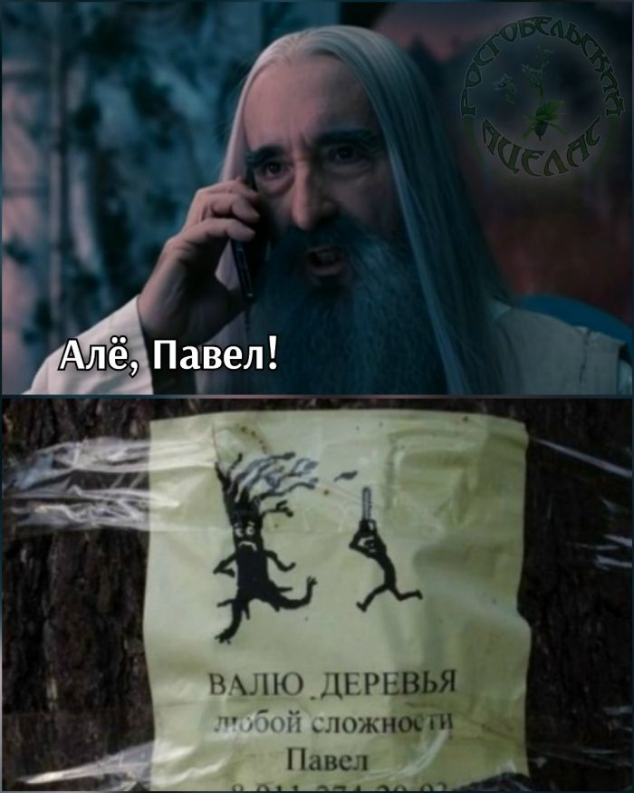 картинка 2c70ee8538 00000000000