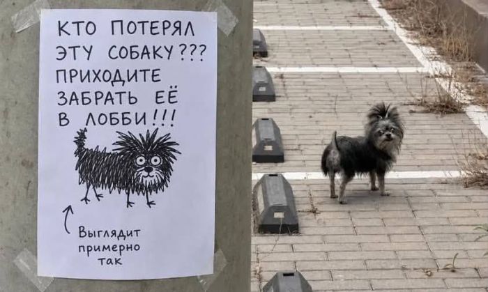 Поднимаем настроение: порция юмора, чтобы день стал чуточку светлее 😄 сейчас, собрали, появилась, улыбка, чтобы, картинок, забавных, мемов, шуток, свежих, адресу, хочется, точно, «срочно», «надо», забыть, минут, забот, отвлечься, выдохнуть