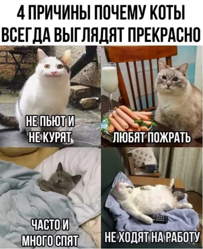 картинка 30152e4a9e temnyj smeh sbornik chernogo jumora dlja teh kto gotov k vyzovu 18