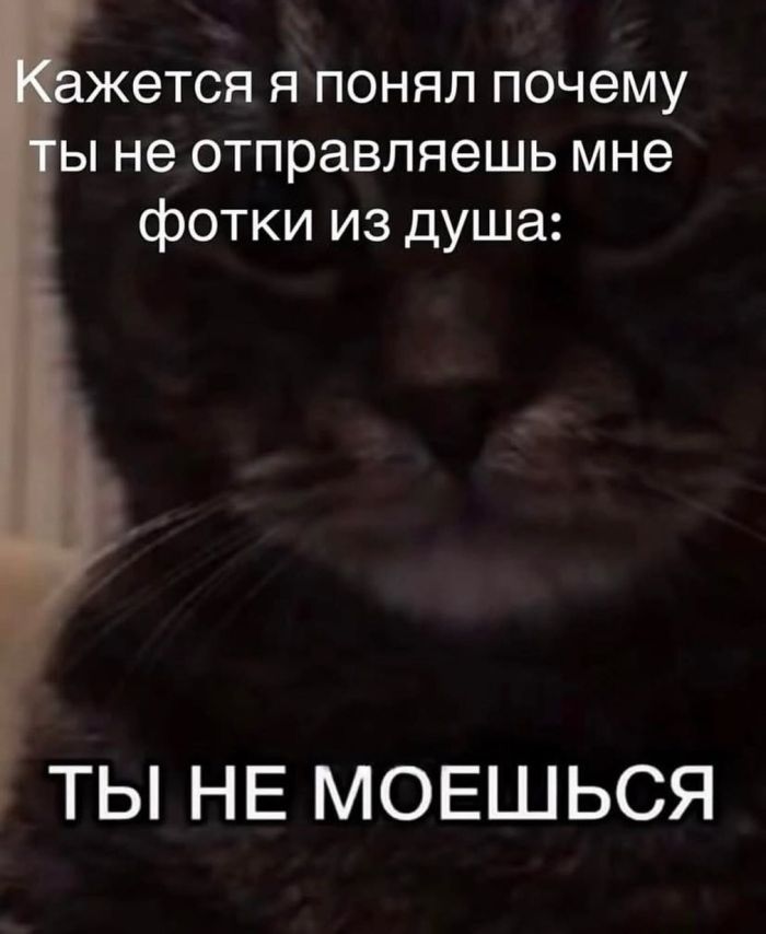 картинка 34067935b2 vnimanie ceniteli esli vy ustali ot presnyh shutok i ischete chto to po nastojaschemu ostroe 10