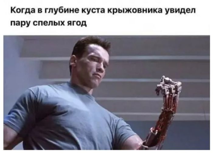 картинка 344aab8733 temnyj smeh sbornik chernogo jumora dlja teh kto gotov k vyzovu 20
