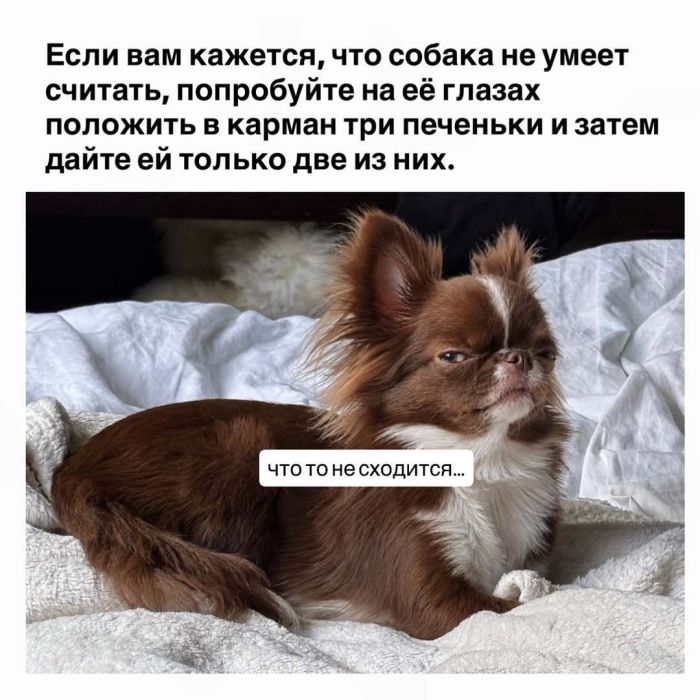 картинка 34d9afeb2a ura pjatnica 7