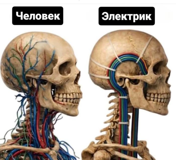 картинка 34fd8052f1 ustali ot suety zarjazhajtes pozitivom s nashej podborkoj memov 7