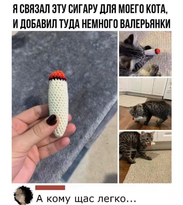 картинка 350e8bbce2 lovite porciju pozitiva svezhij sbornik shutok memov i prikolov iz socsetej 15