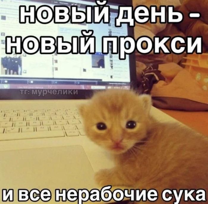 картинка 36f457ec7a ulybka garantirovana novyj sbornik samyh smeshnyh memov uzhe zdes 24