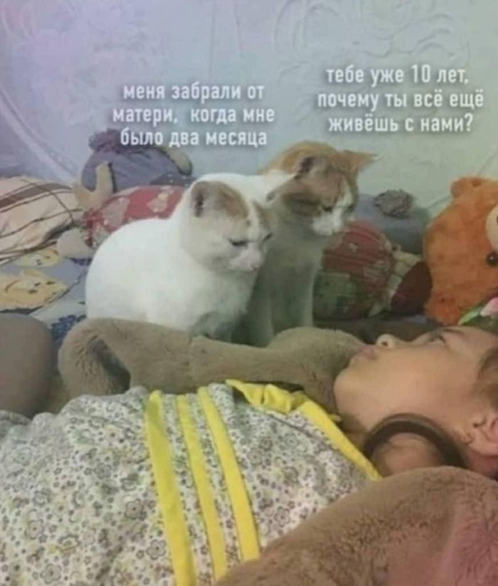 картинка 3754f91130 chernyj jumor kogda smeh skvoz slezy jeto norma 31