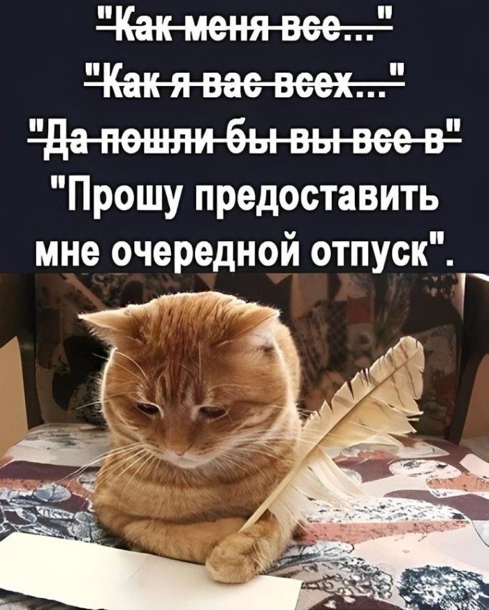 картинка 38506d357b vnimanie ceniteli esli vy ustali ot presnyh shutok i ischete chto to po nastojaschemu ostroe 9