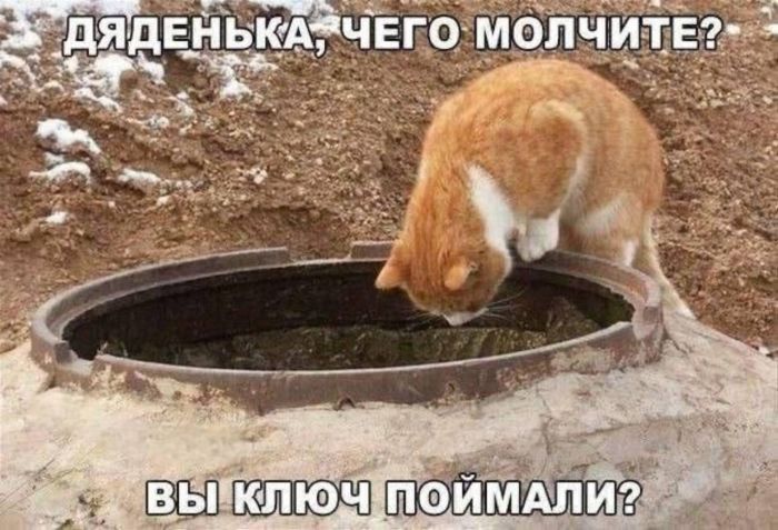 картинка 3967ab7762 000000000