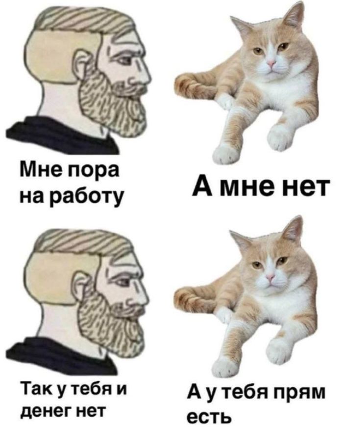 Середина недели – не повод грустить! Заряжаемся позитивом с новой порцией смешных мемов!