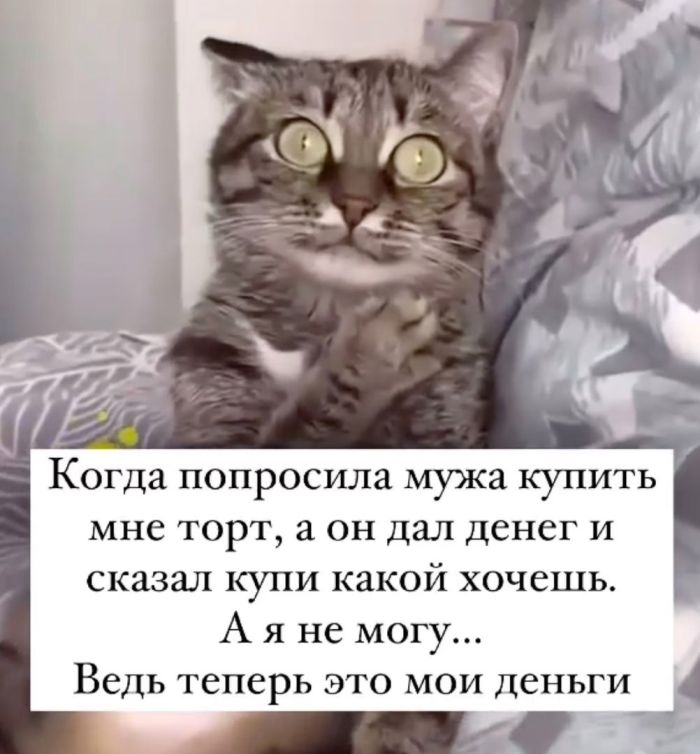 картинка 402304ade6 kollekcija memov s chernym jumorom smeh na grani 19