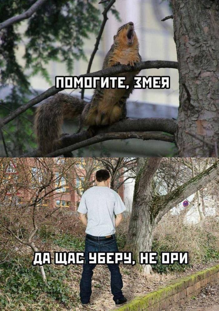 картинка 42dc5fb8b0 sbornik chernogo jumora dlja teh kto gotov vyjti za ramki 21