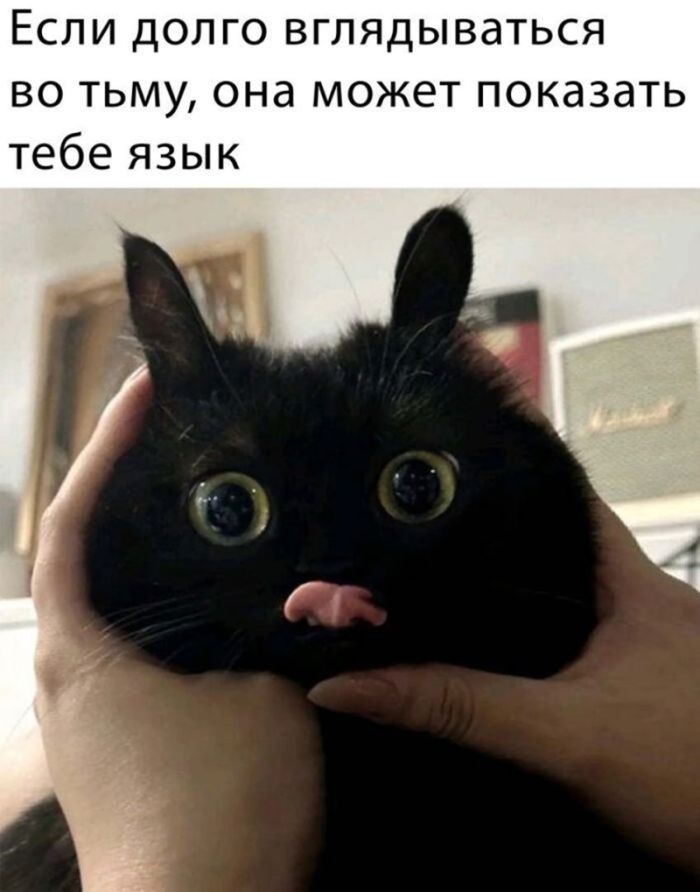 картинка 45f70a4d70 gotovy k doze chernogo jumora u nas tut podborka ot kotoroj scheki mogut pokrasnet 29