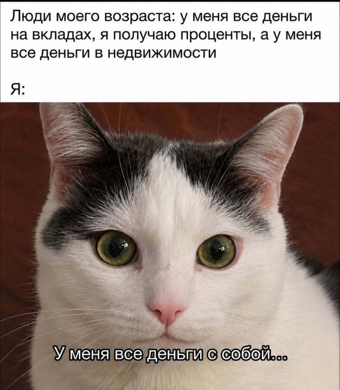 картинка 461e635911 00000000000000000000000