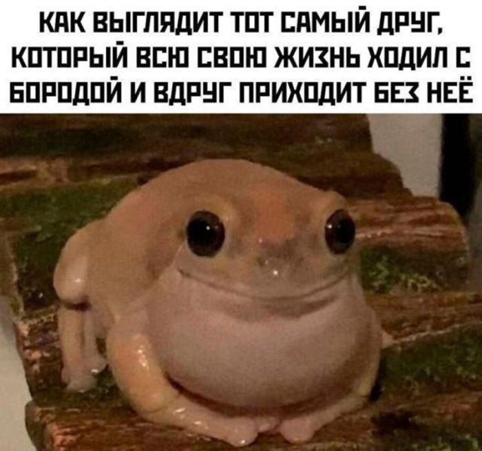 Поднимаем настроение: порция юмора, чтобы день стал чуточку светлее 😄 сейчас, собрали, появилась, улыбка, чтобы, картинок, забавных, мемов, шуток, свежих, адресу, хочется, точно, «срочно», «надо», забыть, минут, забот, отвлечься, выдохнуть