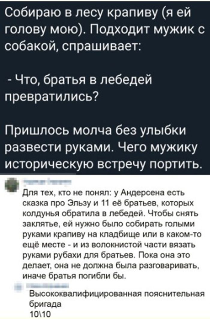 картинка 4ebb476e15 derzkij jumor podborka samyh ostryh kommentariev iz interneta 16