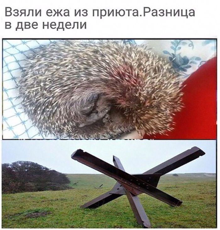 картинка 5396969426 vnimanie ceniteli ostrogo slovca 25