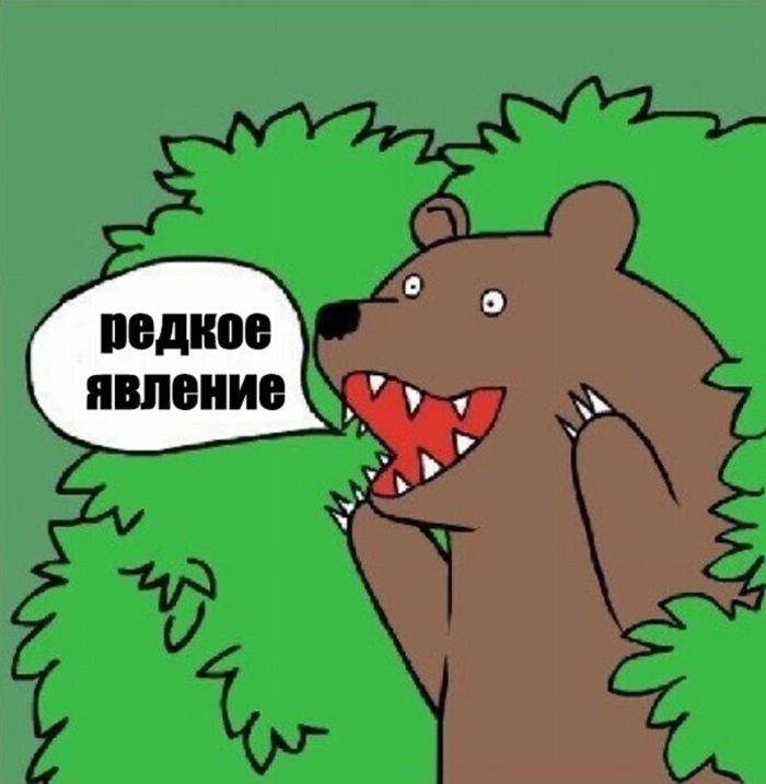 Что с мужчинами «не так»: почему современные мужчины выбирают покой вместо отношений