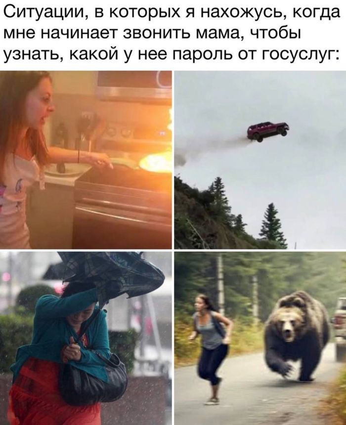 картинка 59ef208954 sbornik pozitiva k seredine nedeli lovi dozu horoshego nastroenija dlja malenkoj pjatnicy 11
