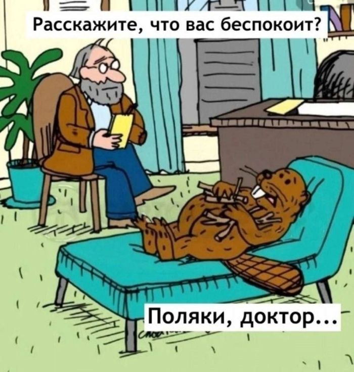 картинка 5ca1e5d03a novyj sbornik samyh smeshnyh memov zarjazhaemsja pozitivom 1