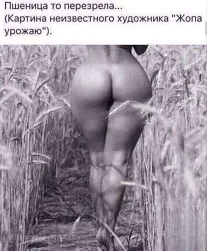 Тёмный смех: сборник чёрного юмора для тех, кто готов к вызову