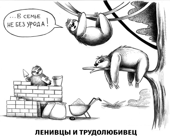 картинка 6e572777d0 000000000