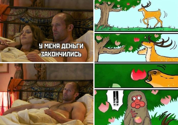 Пятница уже близко! Ловите порцию позитива и смеха!