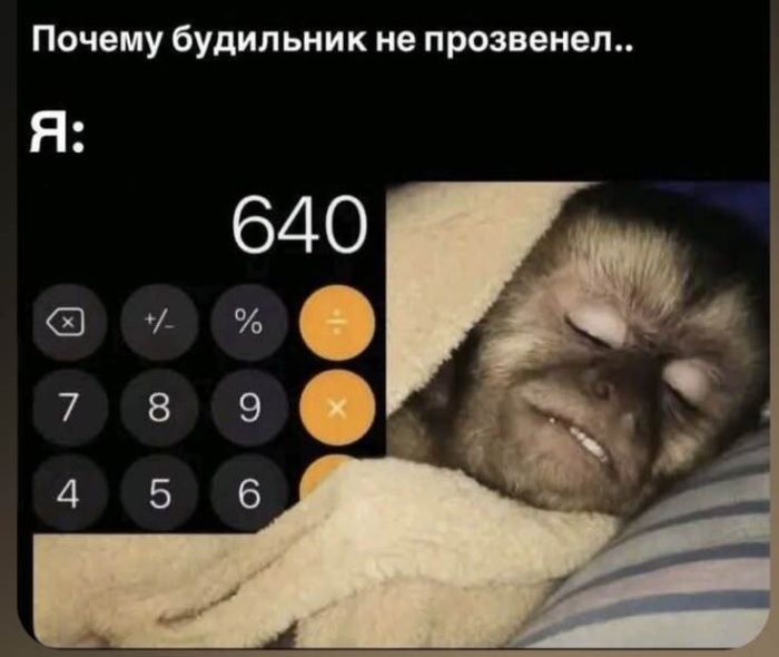 картинка 791f95869c sbornik pozitiva k seredine nedeli lovi dozu horoshego nastroenija dlja malenkoj pjatnicy 4