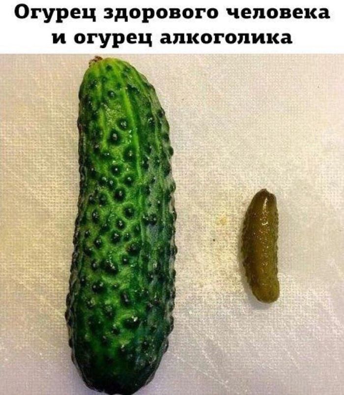 картинка 7b10c4d886 sbornik pozitiva k seredine nedeli lovi dozu horoshego nastroenija dlja malenkoj pjatnicy 7