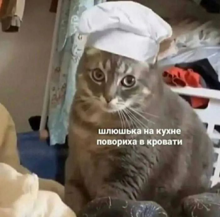 картинка 7e7f9c8bc3 ostorozhno kontent mozhet vyzvat nekontroliruemyj smeh i legkoe chuvstvo viny  15