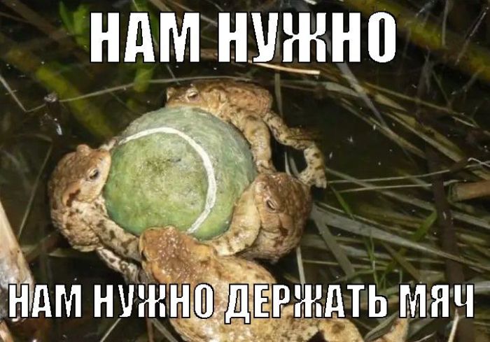 картинка 8435c4a2e7 ura malenkaja pjatnica vremja dlja chegoto osobennogo 7